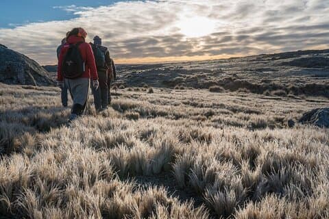 5,5-timmars nationalpark med vandring *strandutflykt* USHUAIA (Delad tur för kryssningar)