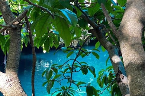 Maalum Zanzibar; Prison Island; Baraka Aquarium; Kendwa Beach