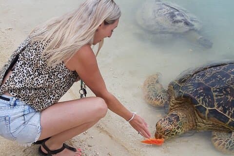4 horas: excursión privada en trío tropical (con recogida en el hotel)