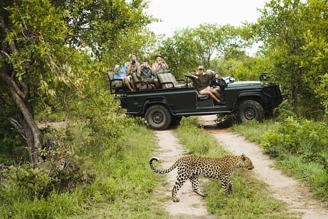 All-Inclusive BIG 5 Kruger Full Day Safari from Hazy View