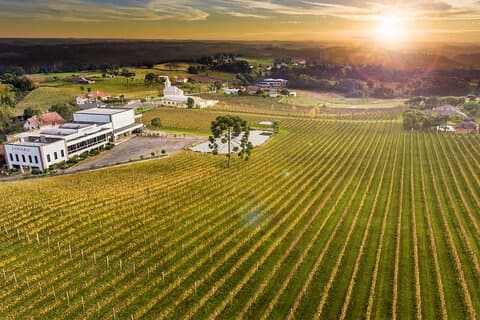 Tour Gran Reserva - Valley of the Vineyards