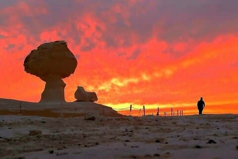 2-dagars, 1-natts campingtur i White Desert med upphämtning i Kairo