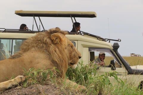3-Day Private Masai Mara Safari