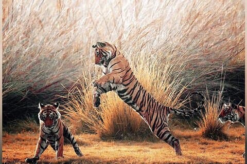 3 dagars Ranthambore Tigers, Bharatpur & Taj Mahal Tour från Jaipur