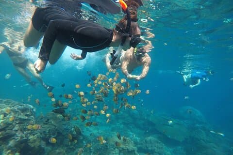 Excursão privada de mergulho com snorkel em Manta Bay e Diamond Beach com almoço
