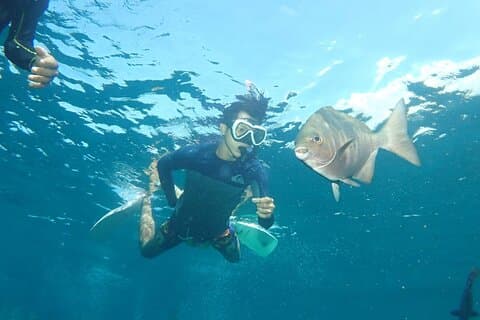 Tulamben Snorkelen in USAT Liberty Shipwreck Karangasem Bali