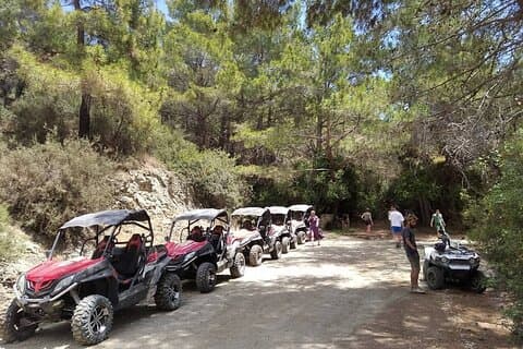 Tour en quad o buggy desde Coral Bay hasta el bosque de Akamas