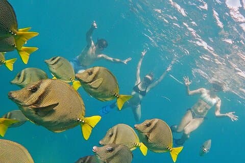 Los Cabos Snorkeltour per speedboot inclusief foto's