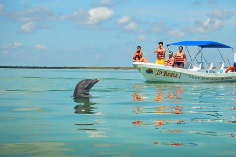 Natural Reserve of Sian Ka'an Tour! Boat Ride and Snorkel