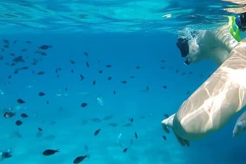 Voyage Blue Lagoon avec Transfert de Paphos incluant 1 heure de nage