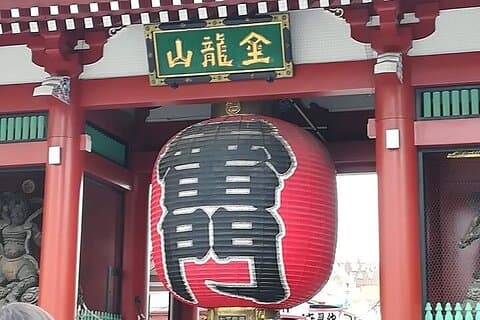 Punti salienti di Tokyo, santuario Meiji, Asakusa, Ueno e Museo nazionale di Tokyo