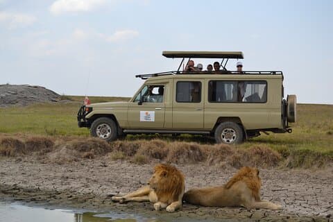 4 Days Serengeti Heritage Safari