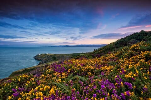 Excursão de ônibus de meio dia pela costa de Howth saindo de Dublin com guia ao vivo