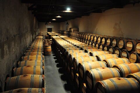 Viagem de um dia de vinho na região Medoc com visitas a vinhas e degustações de Bordeaux