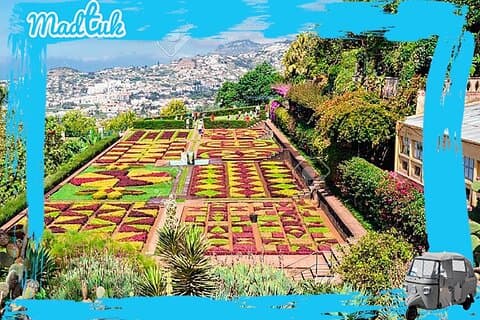 Madeira Botanical Gardens and Old Town Tuk Tuk Tour by MadTuk