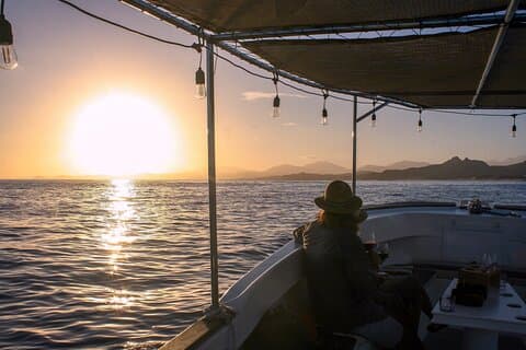 Vinsmaking med solnedgangscruise i San Jose del Cabo