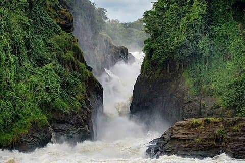 3-Day Private Tour and Safari Murchison Falls National Park