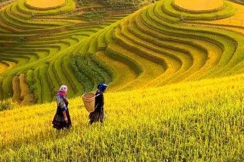 2 días 1 noche de estancia Sapa Trekking Tours