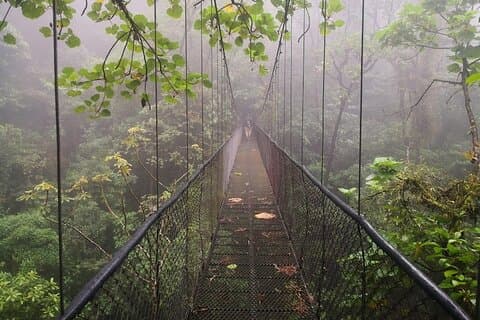 Hanging bridges and Zip line from Port Cardera especially for cruises