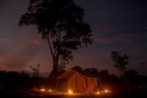 Privat Safari Camping i Buttala