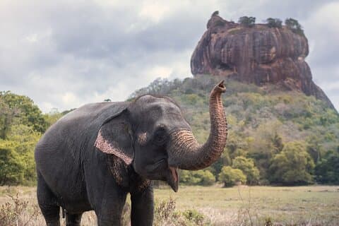 4 Days Tour to Kandy, Sigiriya, Trincomalee & Anuradhapura from Colombo