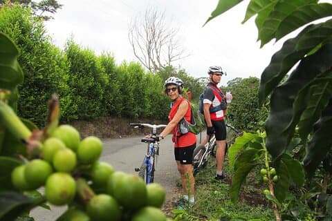 4 jours de vélo et de randonnée dans la vallée de Cocora - Nature, café et vraie culture