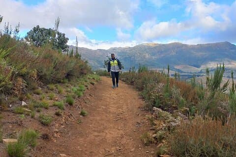 Stellenbosch Hike & Wine Tasting
