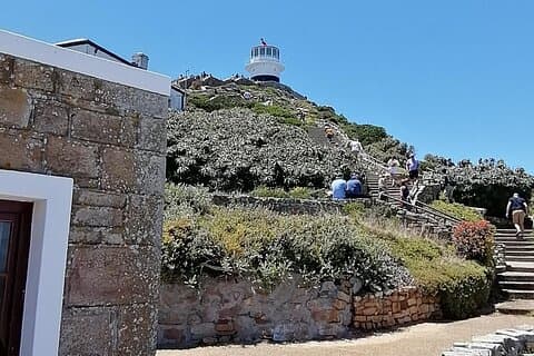 Full Day Cape Peninsula, Cape Point Tour