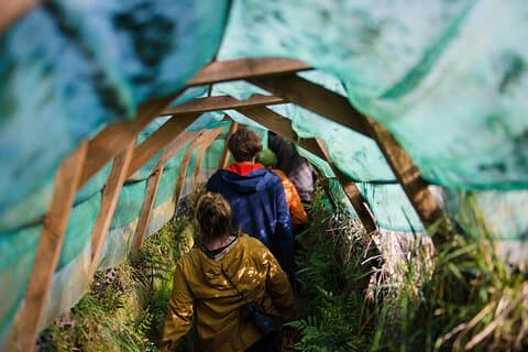 Otago Peninsula Wildlife Tour & Kreuzfahrt