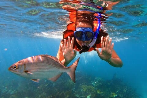 Key Largo Two Reef Snorkel Tour - All Snorkel Equipment Included!