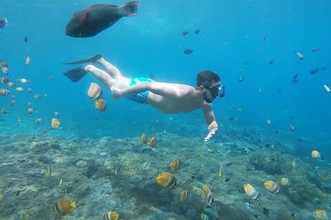 Bali Nusa Penida og privat snorkling (Manta Bay, Gamat, Wall)