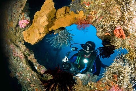 Viagem de um dia para mergulhadores certificados - 2 ou 3 mergulhos em Tulamben (pegue no sul de Bali)