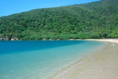 Shell Bay Tour