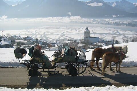 Paseo privado en trineo tirado por caballos desde Salzburgo