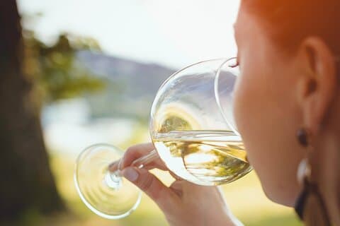 Walk in the Vineyard with Tasting