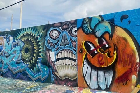 Tour guidato del distretto di Little Havana e Wynwood Walls