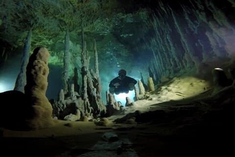 Esperienza di immersione privata al cenote di un'intera giornata 2 immersioni con pranzo