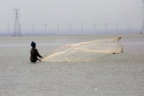 1 noche de experiencia en la aldea de pescadores en Kalpitiya desde Colombo
