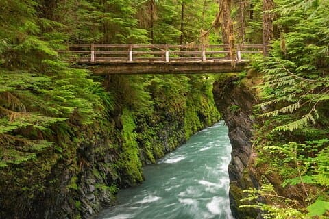 Erkunden Sie den Olympic National Park von Seattle aus mit Van / Ferry