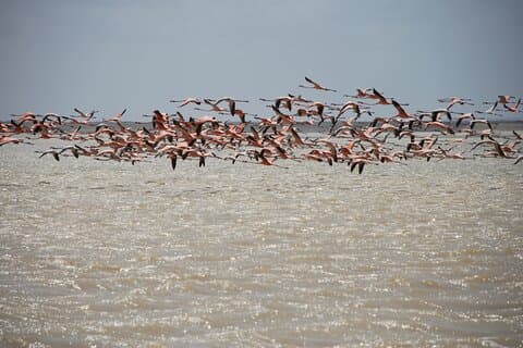 7 Days 6 Nights Alta Guajira Photographic Route Tour with Pick up
