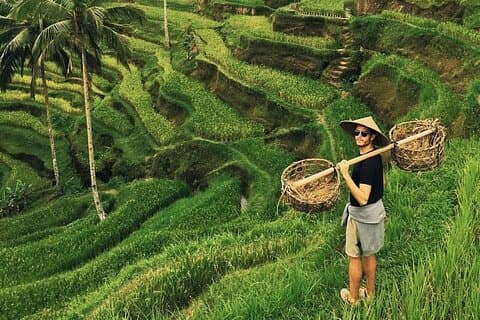 Ubud Jungle Swing - Abeskov - Vandtempel - Vandfald