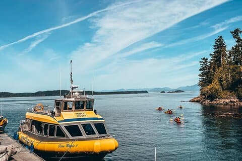 Hoteller i nærheden af Vancouver Island Half-Day Whale Watching Tour - Telegraph Cove