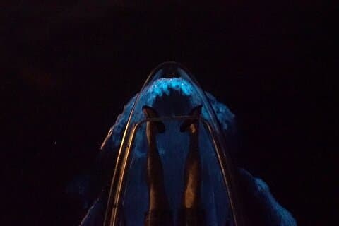 クリアカヤック生物発光ツアー
