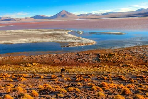 Uyuni Salt Flats _ 3 dage / 2Nights _ Shared Tour_English Tale Guide