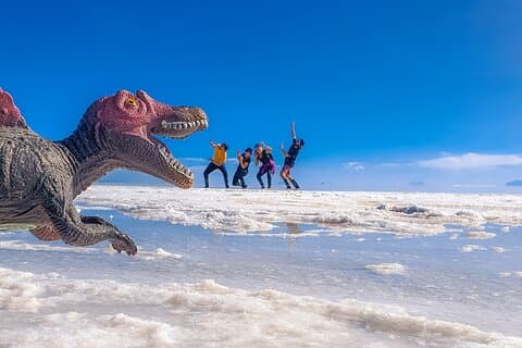 Uyuni Salt Flats _ Ganzer Tag _ Englisch sprechender Führer