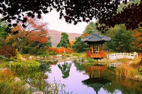 Enkel privat tur til Nami Island, Garden of Morning Calm
