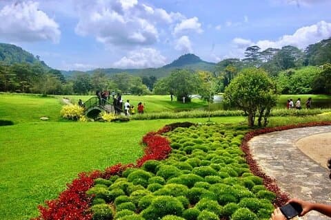 Halvdagstur til Seethawaka botaniske hage fra Colombo