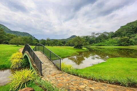 Seethawaka Botanical Garden Day Tour From Colombo With Lunch
