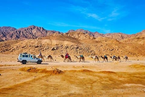 Jeep and Camel Safari 2 Days and 1 Night from Dahab