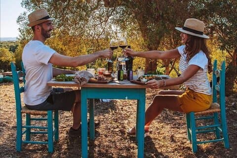 Verkostung von sardischem Olivenöl und Picknick zwischen den Olivenbäumen